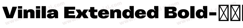 Vinila Extended Bold字体转换